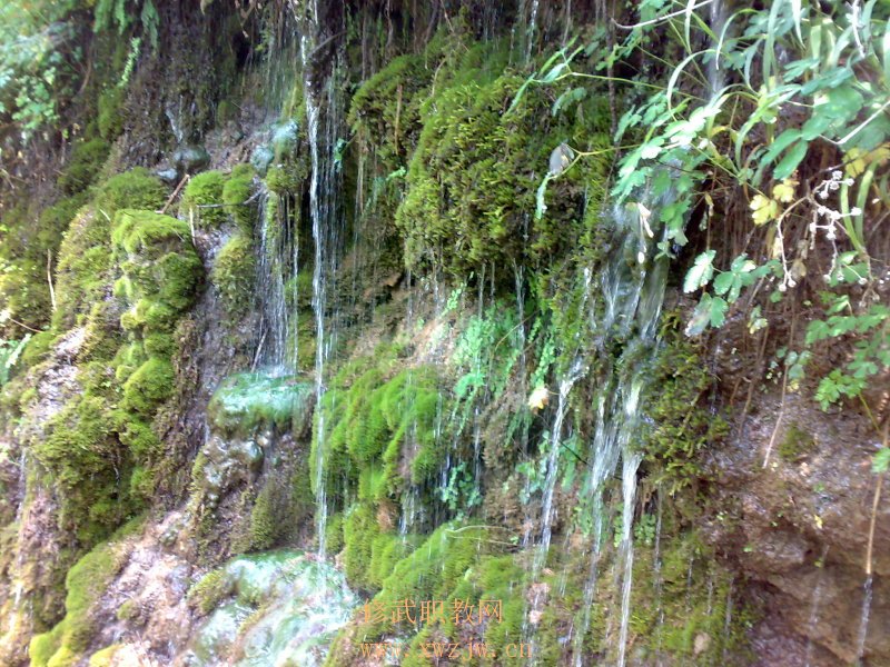 20090614100.jpg