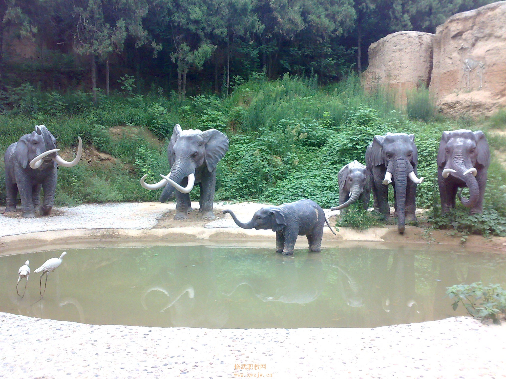 20090725191.jpg