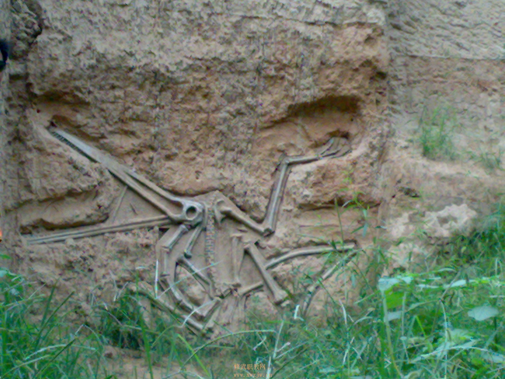 20090725195.jpg