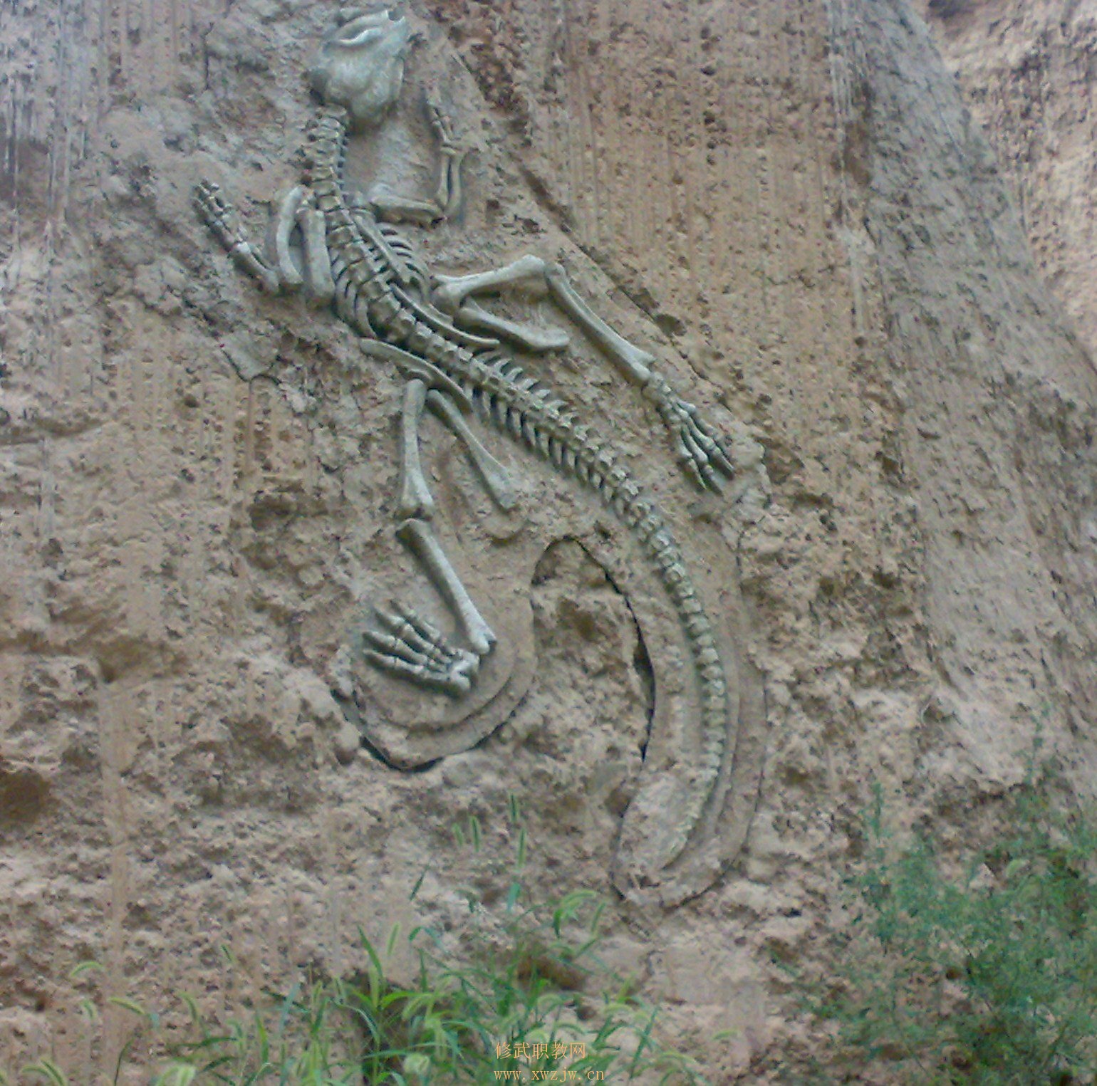 20090725194.jpg
