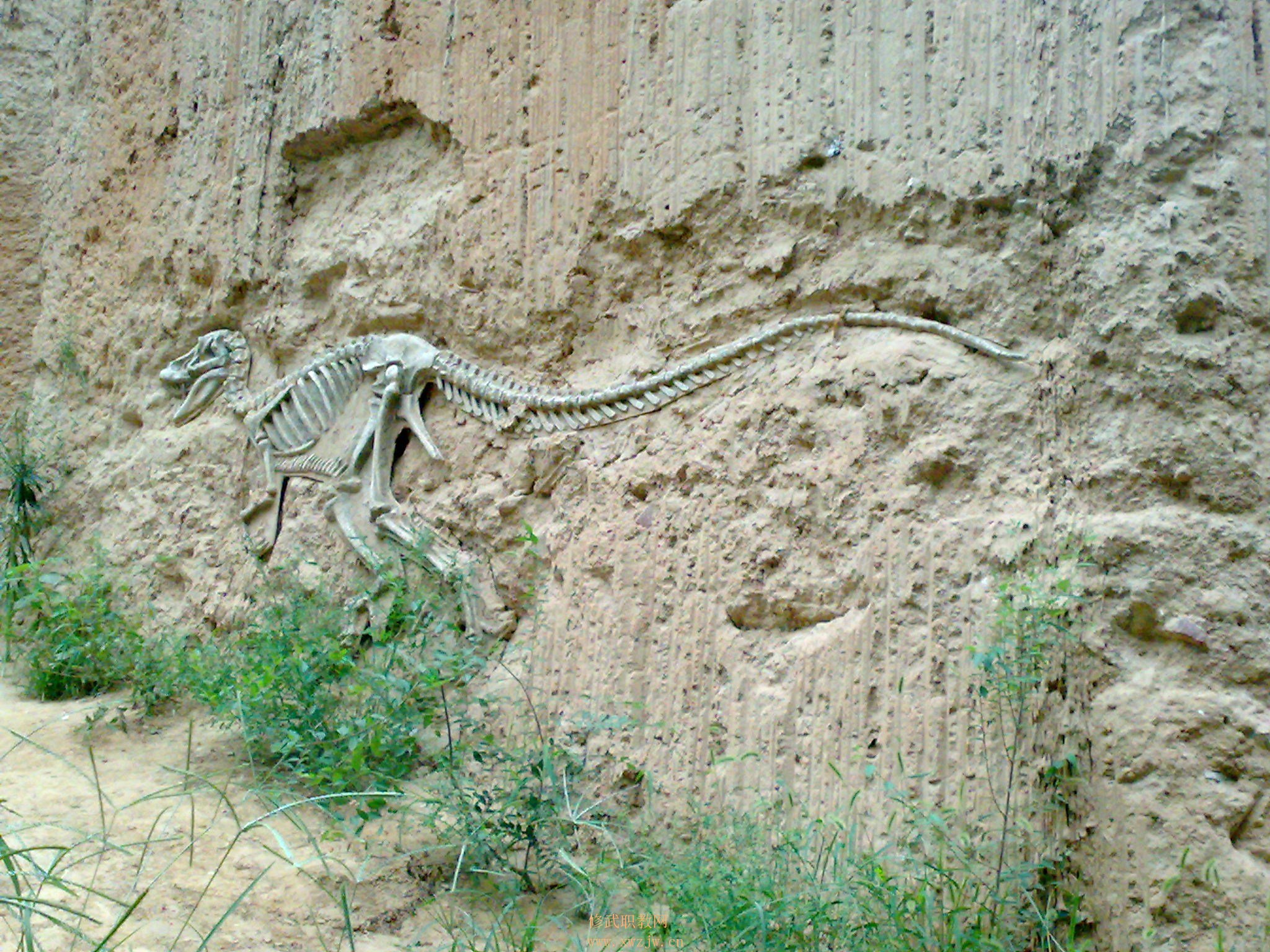 20090725192.jpg