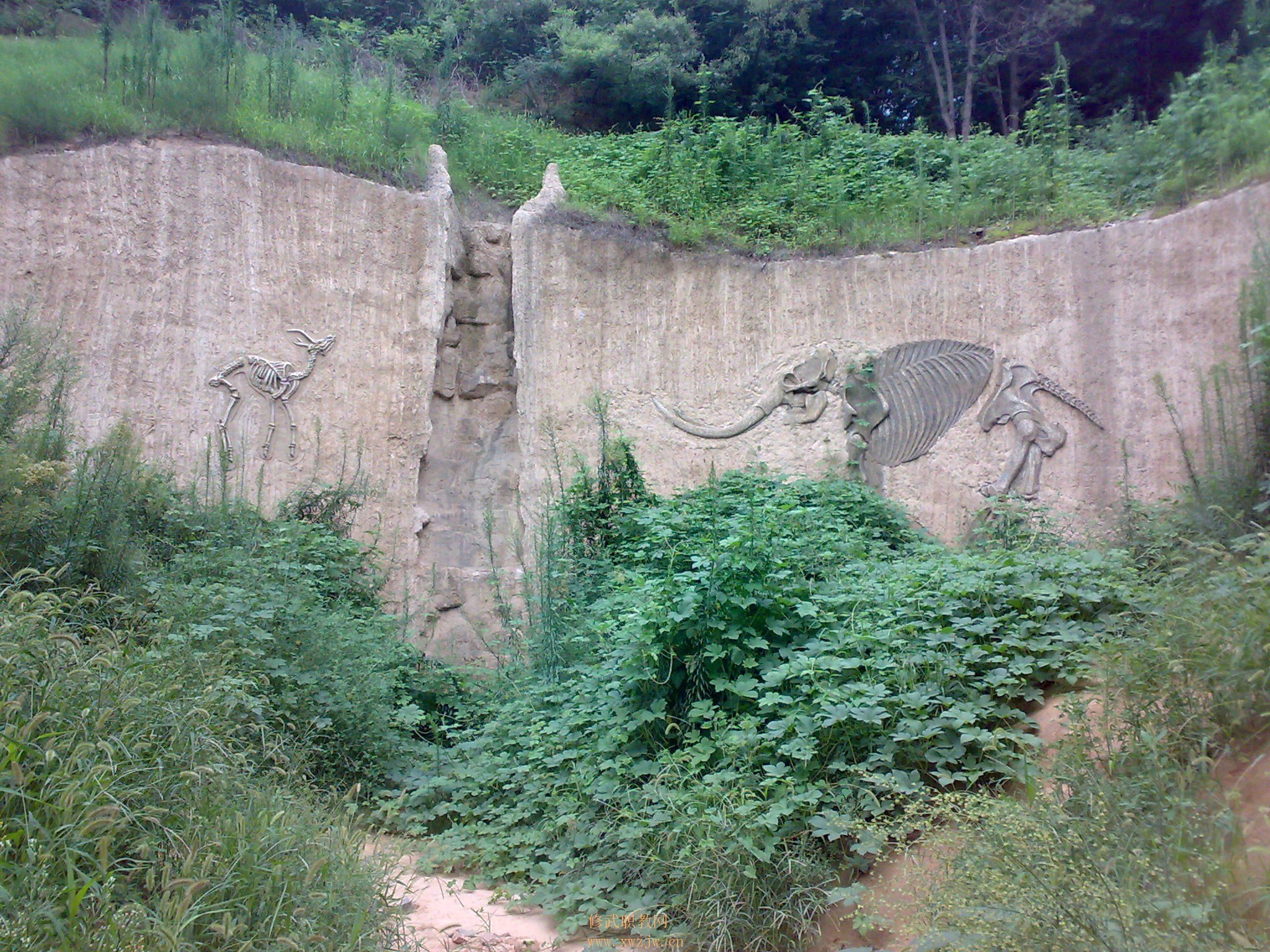 20090725197.jpg