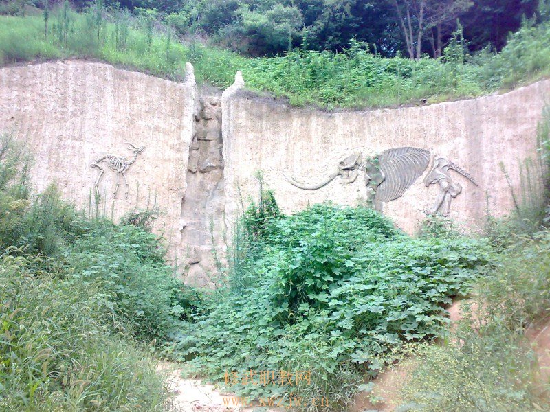 20090725197.jpg