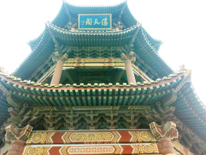20090725209.jpg
