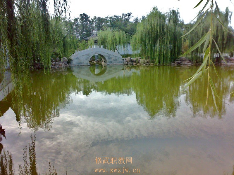 20090811282.jpg