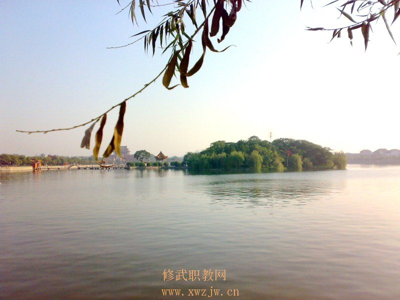 20090812289.jpg