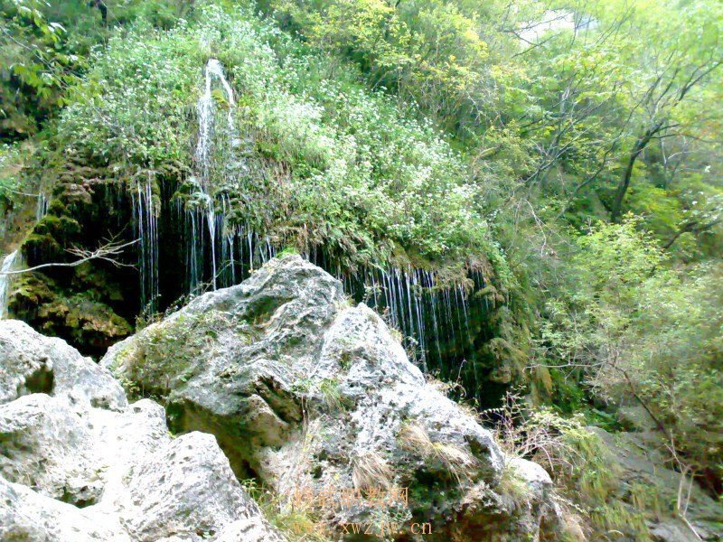 20091004069.jpg