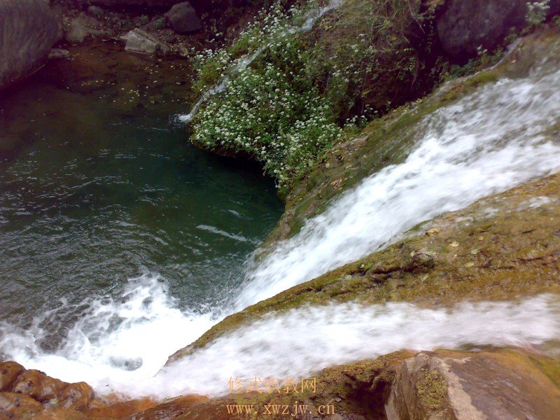 20091004058.jpg