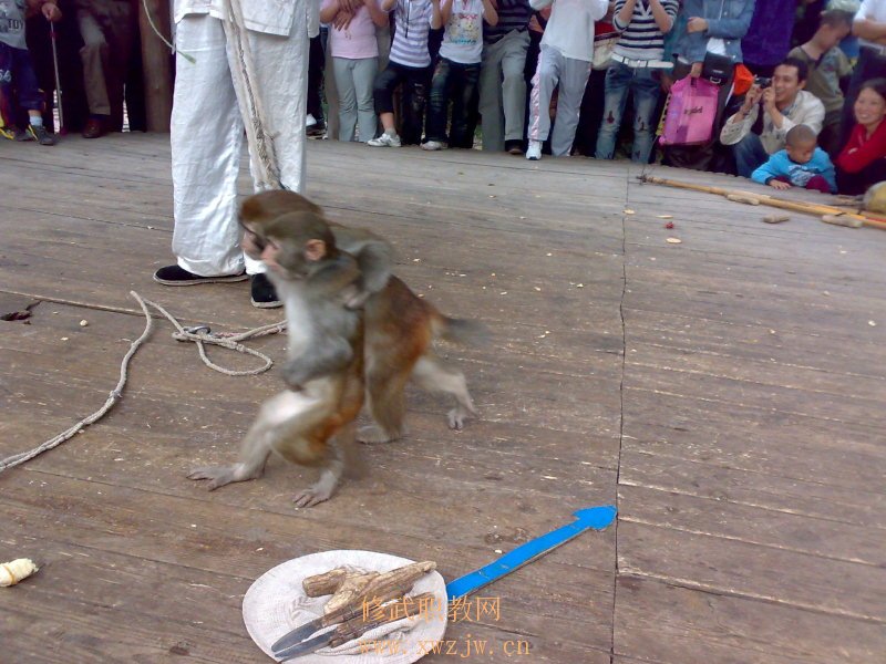 20091004053.jpg