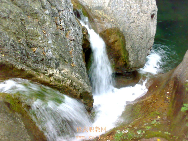 20091004071.jpg