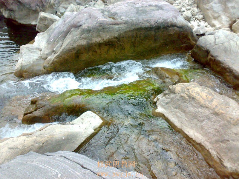 20091024101.jpg