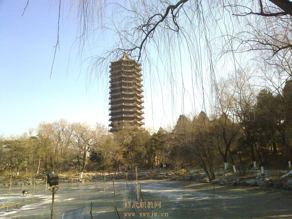 20110112039.jpg
