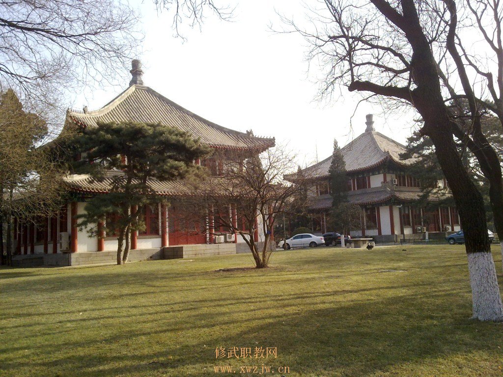 20110113051.jpg