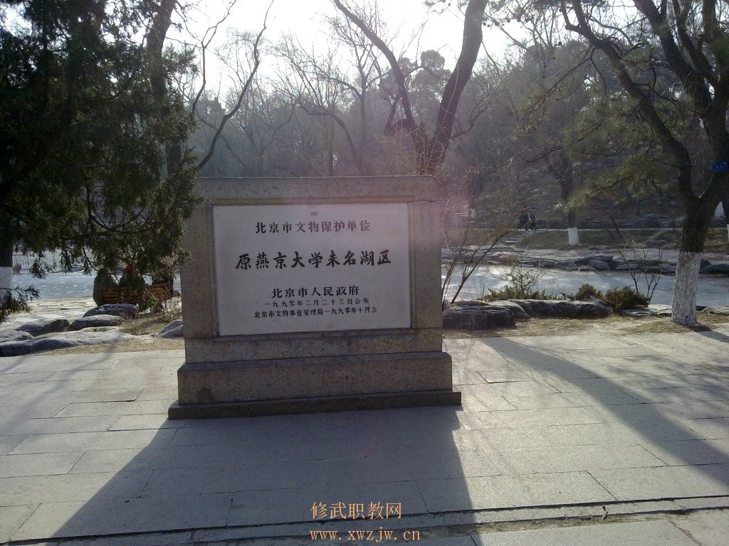 20110113046.jpg