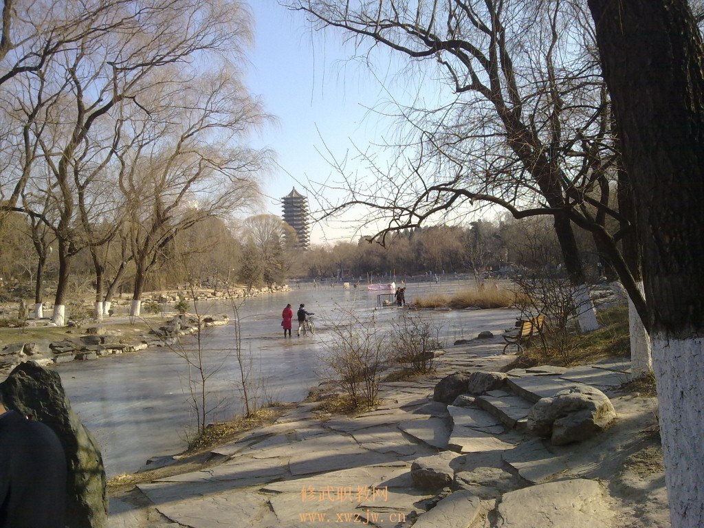 20110112037.jpg