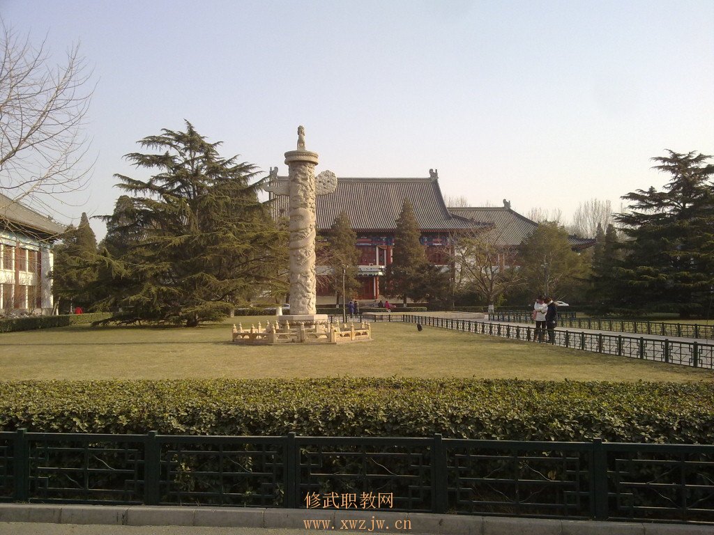 20110113048.jpg