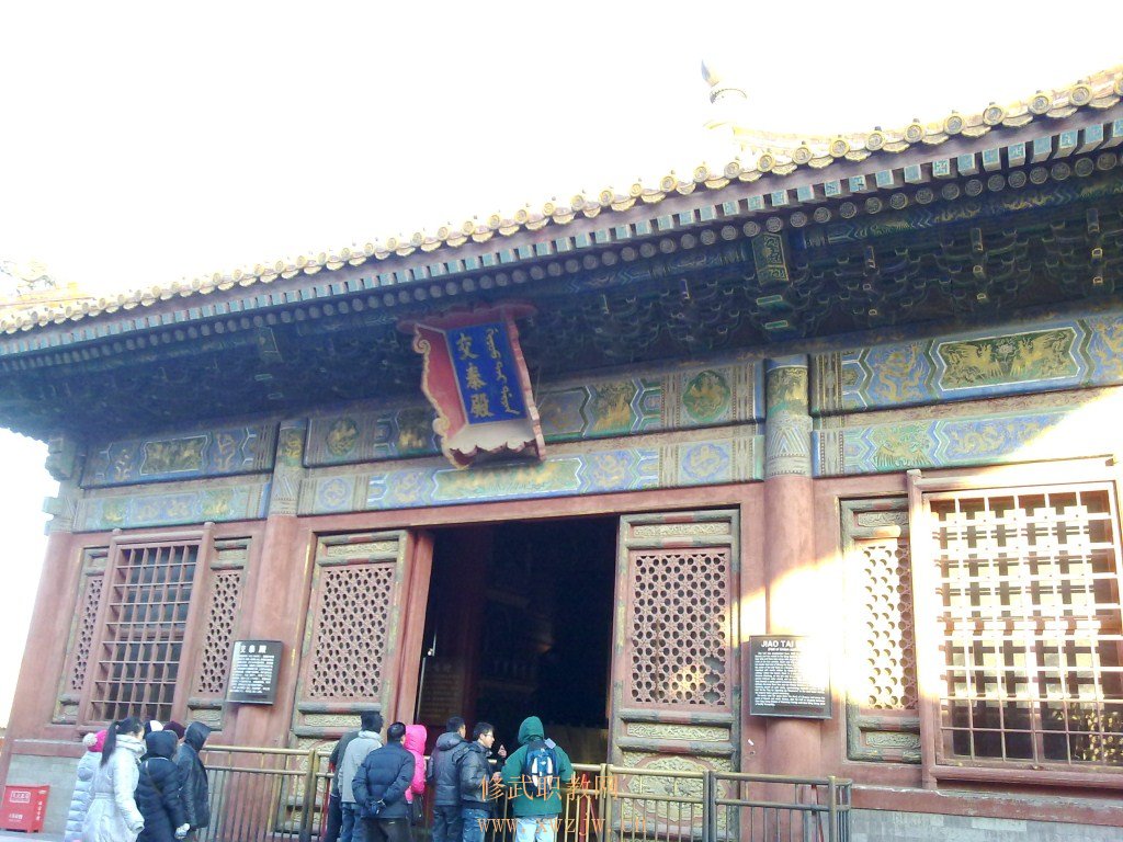 20110118103.jpg