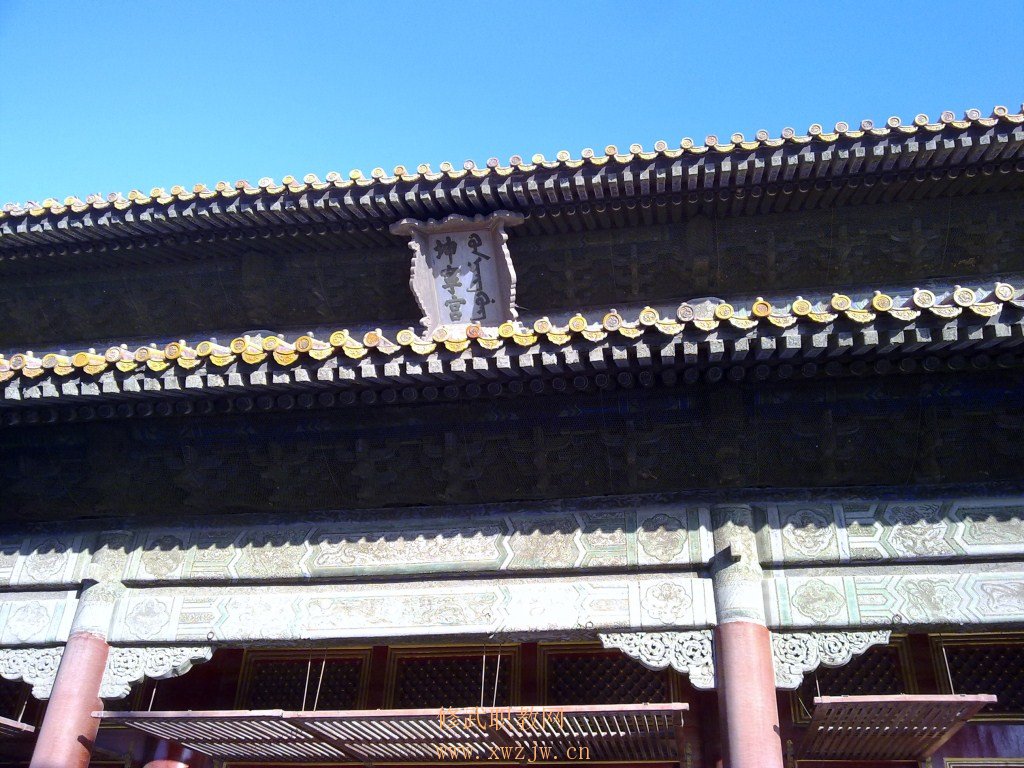 20110118106.jpg