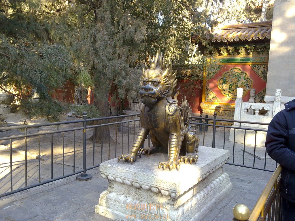 20110118114.jpg