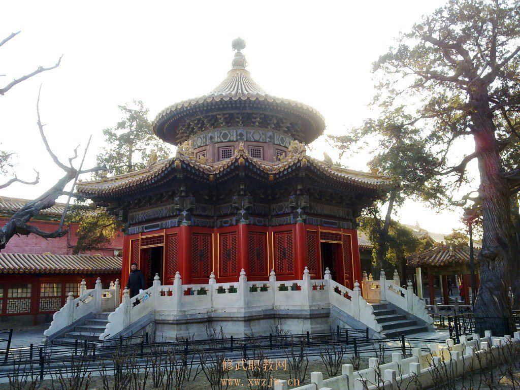 20110118113.jpg
